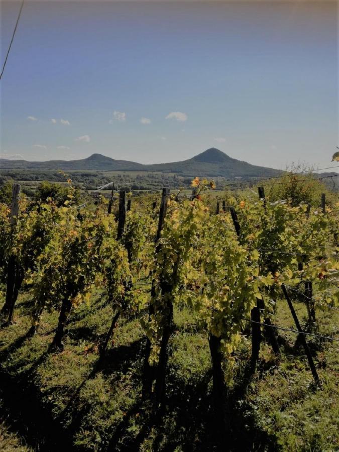 Agnes Almai Agnes Apples Βίλα Kisapati Εξωτερικό φωτογραφία